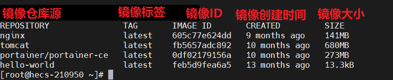 回显结果